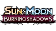 Burning Shadows