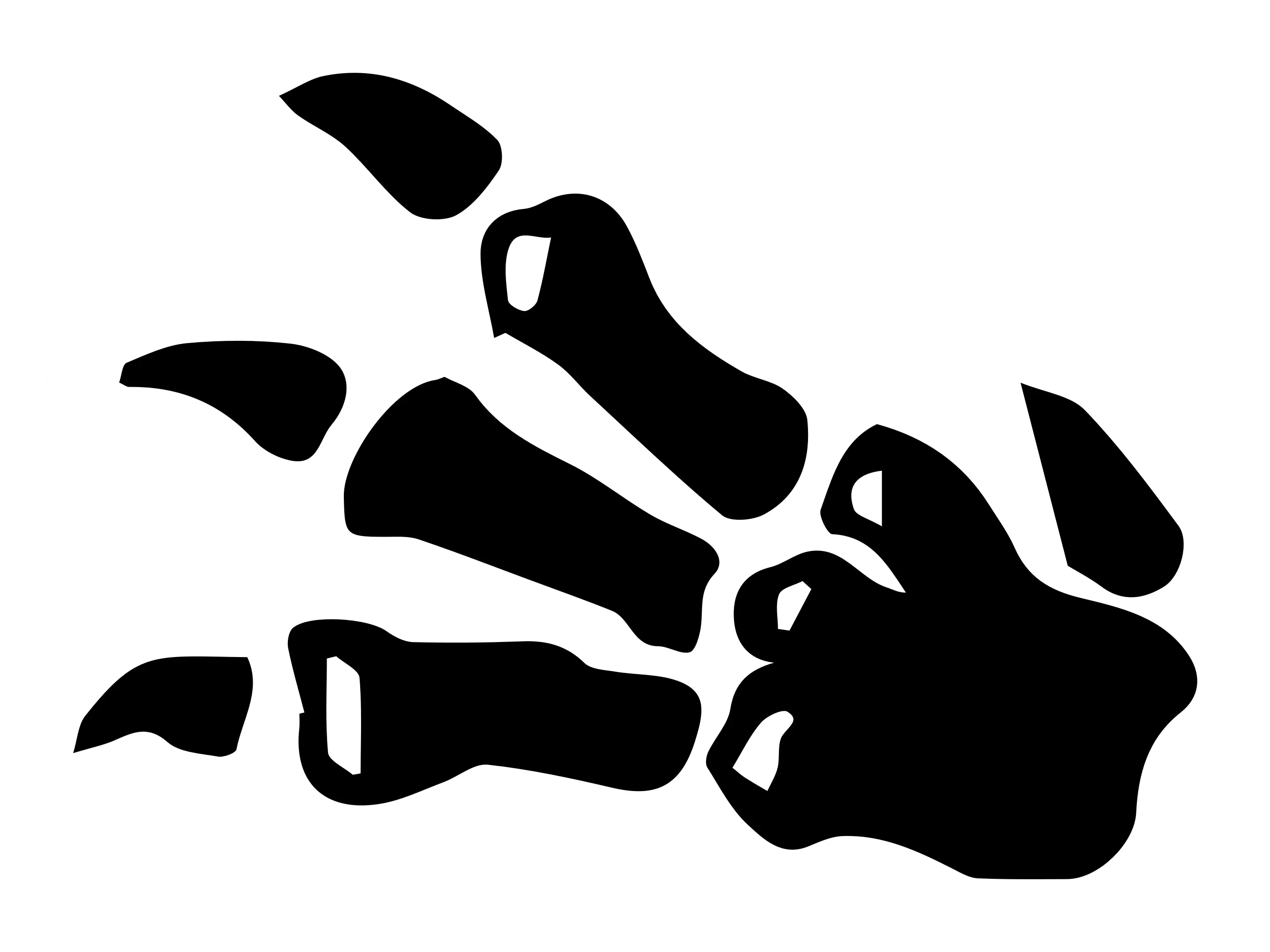 Fossil