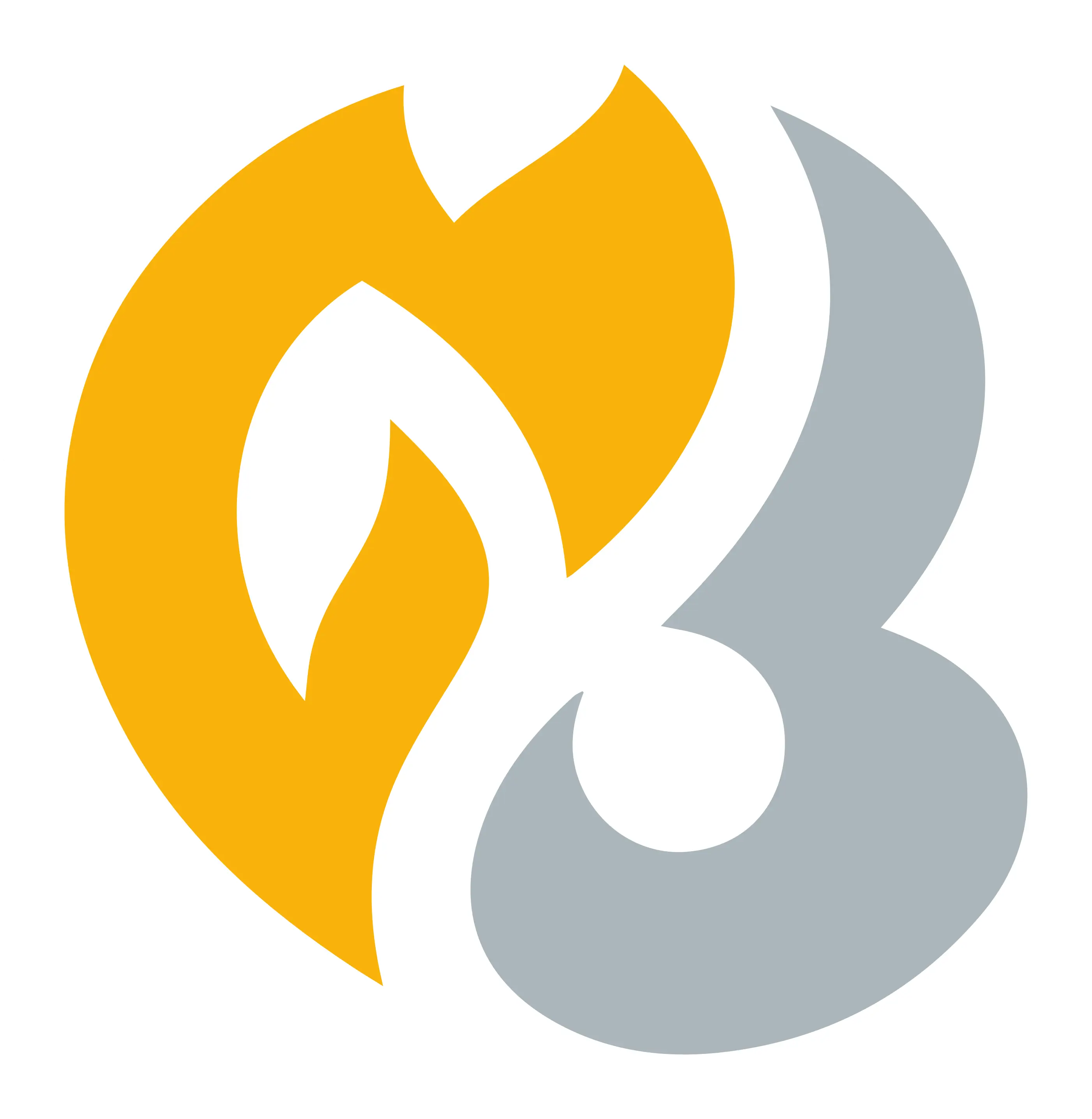 HeartGold SoulSilver